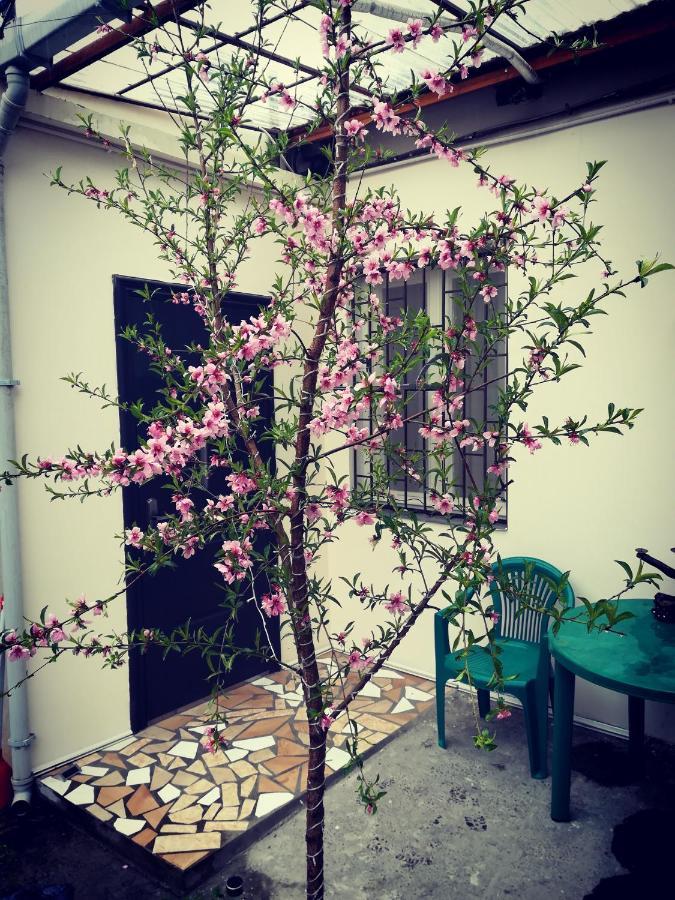 Green Corner Apartment Tbilisi Exterior foto